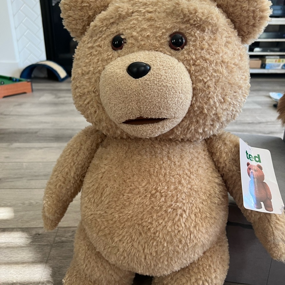 24 inch TED movie rated R talking bear (battery requires replacing opening seam)